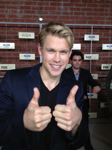  Chord at лиса, фокс Fall eco casino event