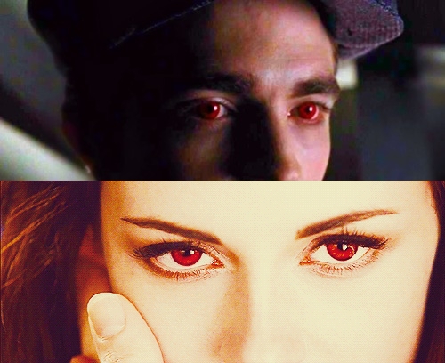  Edward and Bella người hâm mộ art