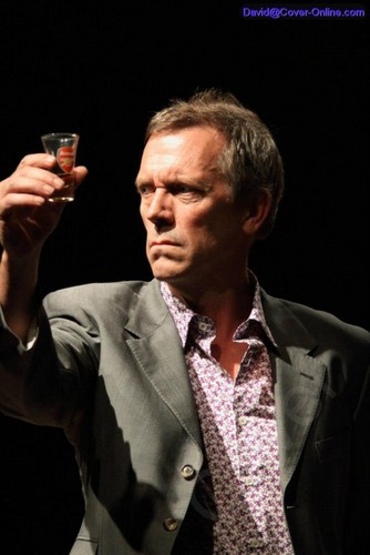  Hugh Laurie at Lifestyle Communities Pavilion in Columbus on 26 August 2012
