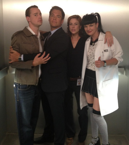  Sean Murray, Michael Weatherly, Diane Neal and Pauley Perrette in NCIS elevator