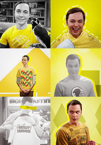  Sheldon