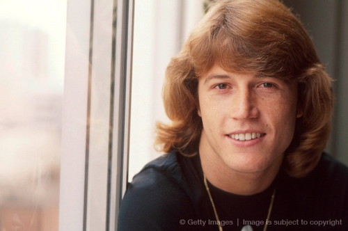  "70's" Singer And Teen Idol, Andy Gibb