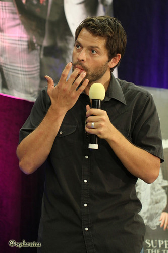  Misha at 面包车, 范 Con