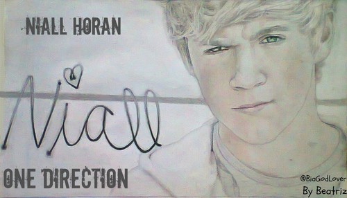  Niall Horan Drawing