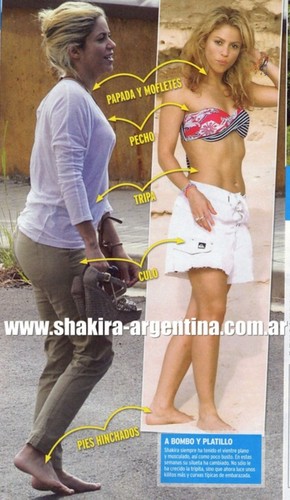  Shakira pregnant body