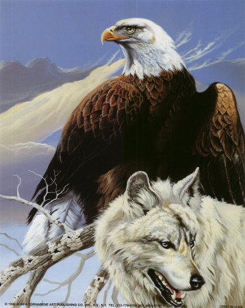  The Eagle and the serigala