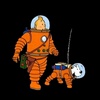 Tintin icona