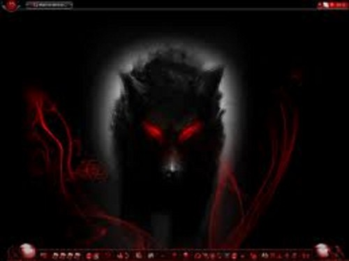  dark serigala, wolf