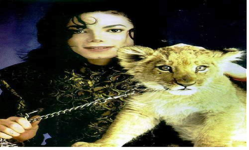  mj and his lion cub