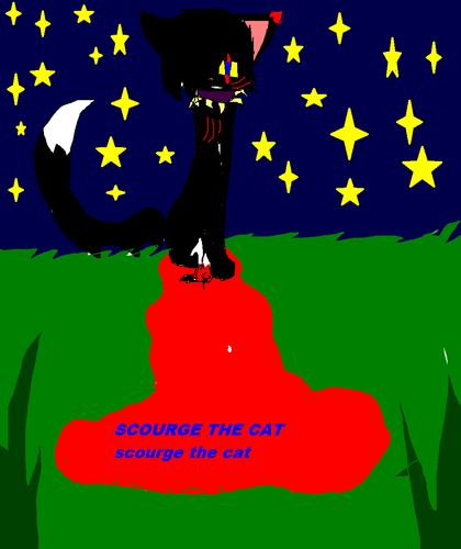  scourge the cat