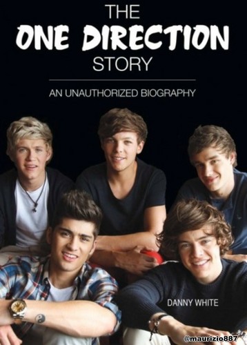  the , one direction story 2012