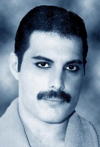  Freddie