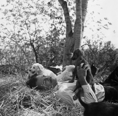  Marlon Brando playing with puppies on set of “Viva Zapata”