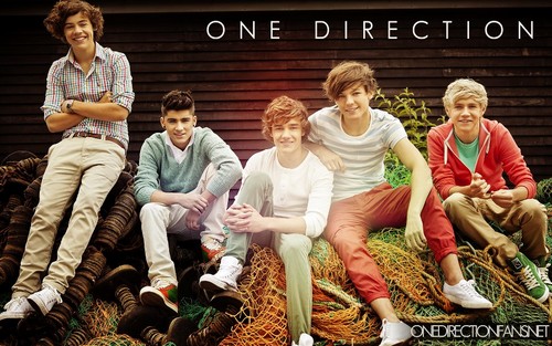  ONE DIRECTION---1D