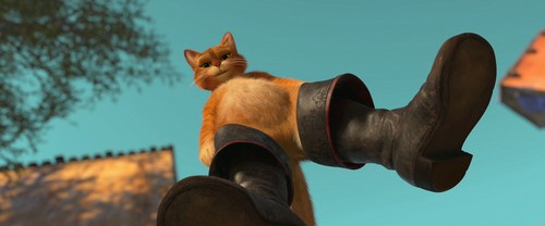 Puss in Boots (2011 film)
