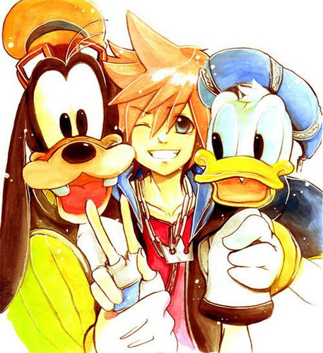 Sora, Donald and Goofy