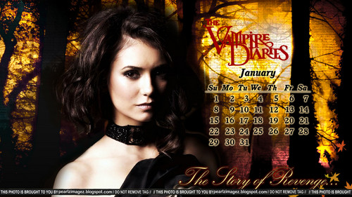  TVD Elena Themed Calenders(untagged imagens on the link provided in the discription and in the pic)