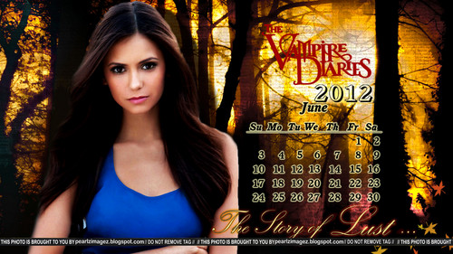  TVD Elena Themed Calenders(untagged 이미지 on the link provided in the discription and in the pic)