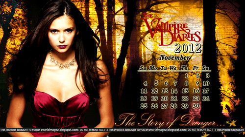  TVD Elena Themed Calenders(untagged প্রতিমূর্তি on the link provided in the discription and in the pic)