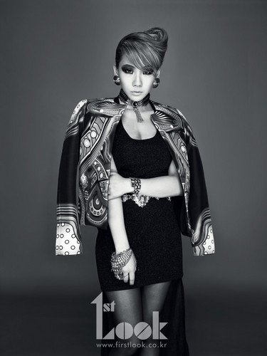  cl ২নে১ 1st look mag