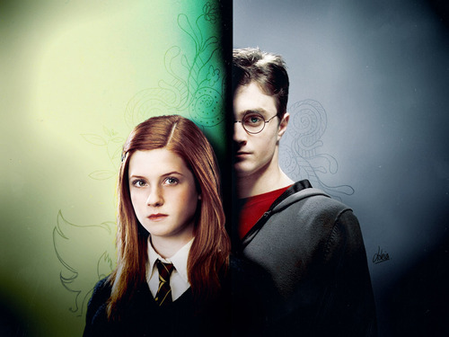  harry and ginny