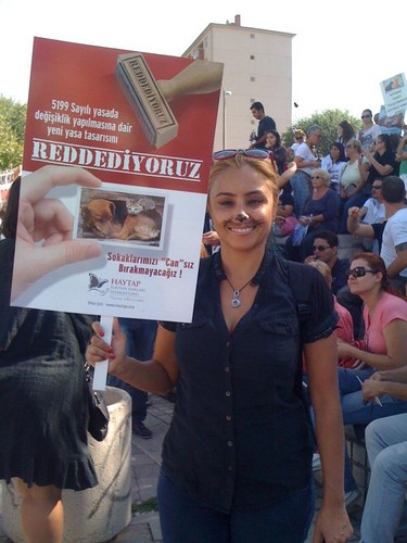 Turkish Animal Law Protest