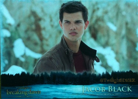  Breaking Dawn Part 2: Trading Cards