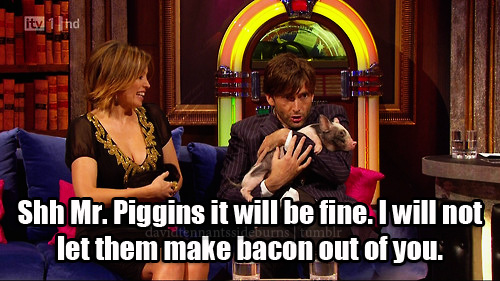  Don't worry Mr Piggins =w=