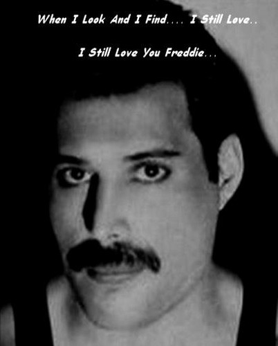  Freddie <3