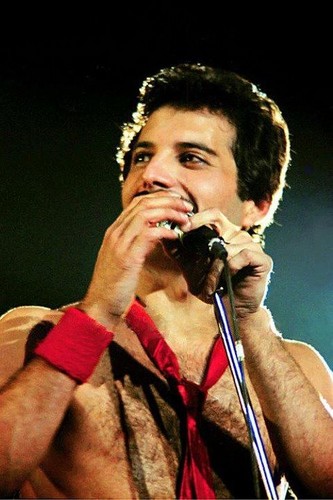  Freddie