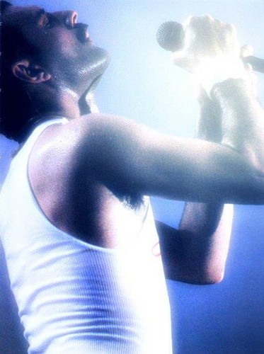  Freddie on stage