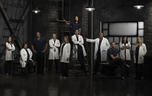  Grey's Anatomy Season 9 Cast تصویر