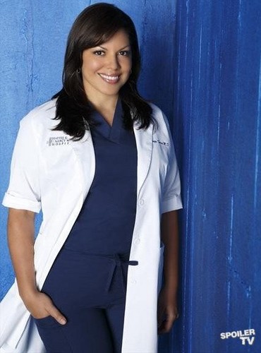  Grey's Anatomy - Season 9 - Cast Promotional Foto