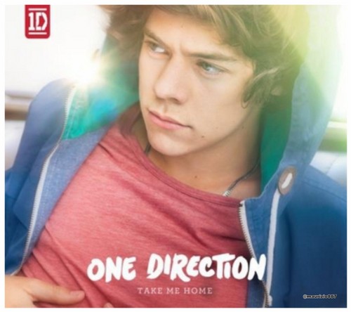  Harry Styles ,Take Me 首页 (2012) Slipcase