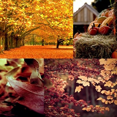  Lovely Autumn