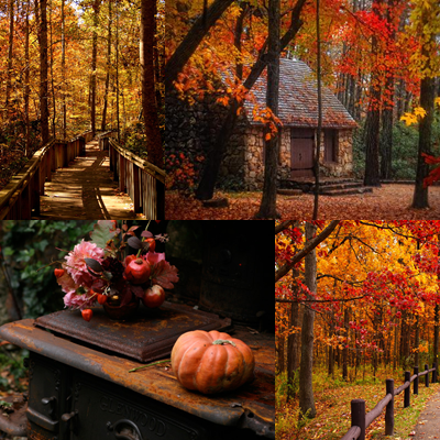  Lovely Autumn