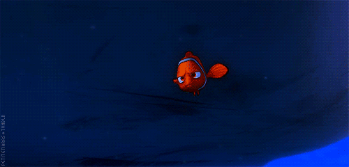  Nemo & Ariel