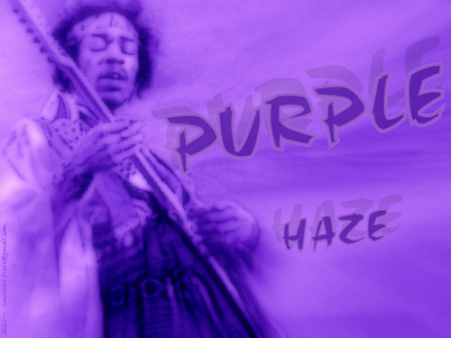  Purple Haze