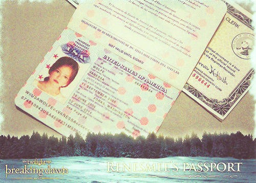  Renesmee's passport