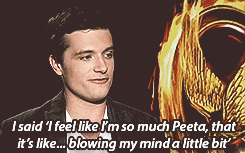  The Hunger Games: Fighting for Peeta