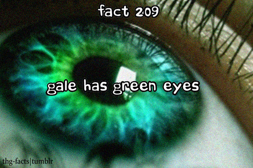 The Hunger Games facts 201-220