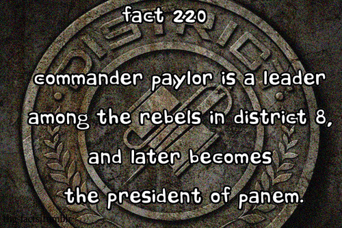 The Hunger Games facts 201-220