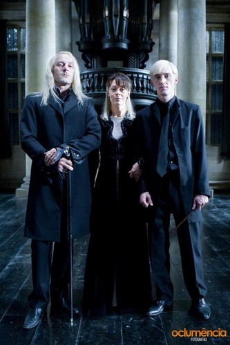  The Malfoy Family