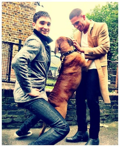  Tom , Max and Dog