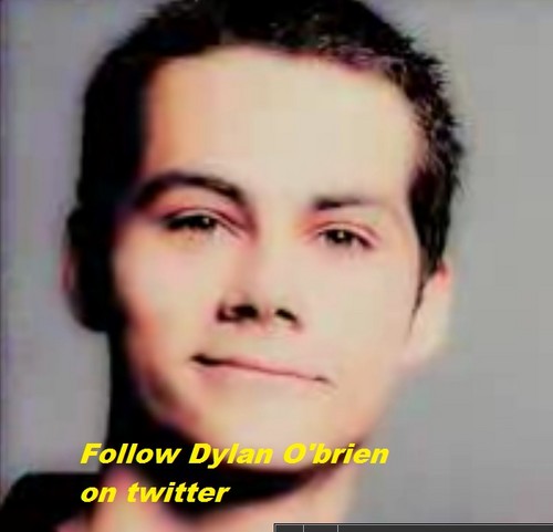  follow dylan on twitter