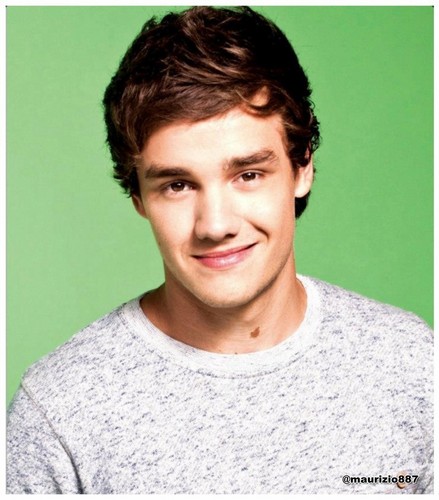  liam payne, the official annual - 2012