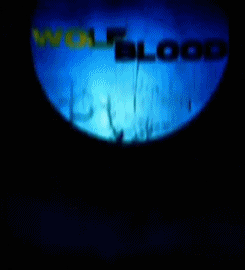  'Wolfblood' opening