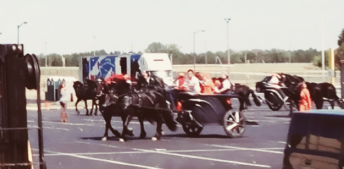  Chariots & cavalos at Atlanta Speedway