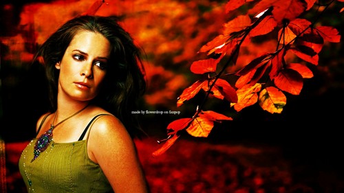 Charmed Wallpaperღ Autumn Special