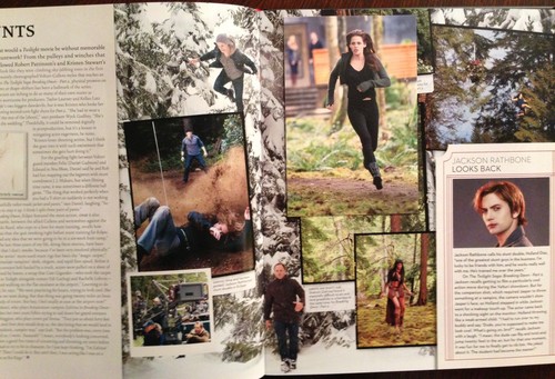  Complete scans of the twilight saga